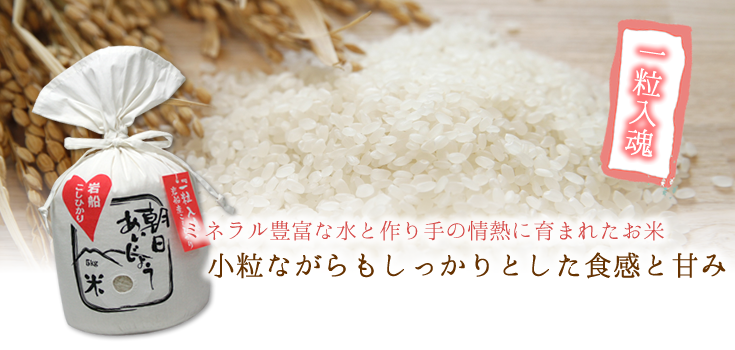朝日あいじょう米こしひかり5kg ｜おいしいお米を食卓へ｜新潟のおいしいお米の通販【お米のヨコヤマ】