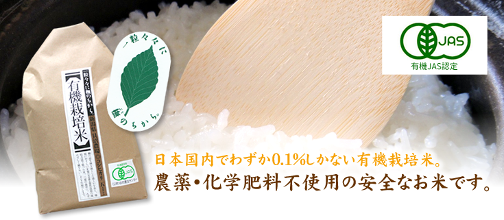 令和5年産新米】JAS認証有機栽培　お米のヨコヤマ　岩船産こしひかり5kg　岩船産コシヒカリの通販