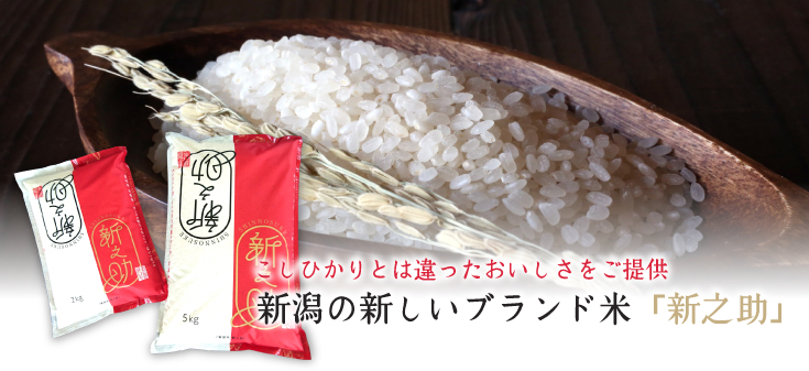 令和5年産新米】新潟県産「新之助」5kg | 岩船産コシヒカリの通販 お米