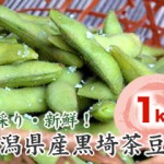 【完売御礼】新潟県産枝豆「黒埼茶豆」 1kg 【送料込】 | 岩船産