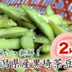 【完売御礼】新潟県産枝豆「黒埼茶豆」 2kg 【送料込】 | 岩船産