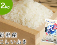 【令和5年産】新潟産こしいぶき 2kg | 岩船産コシヒカリの通販 お米のヨコヤマ