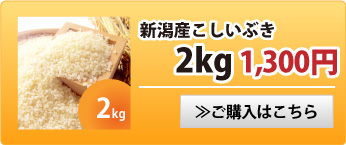 新潟産こしいぶき2kg