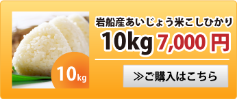 岩船あいじょう米こしひかり10kg