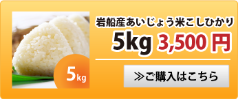 岩船あいじょう米こしひかり5kg