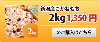 新潟産こがねもち2kg