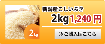 新潟産こしいぶき2kg