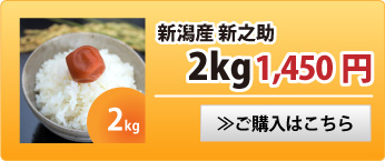 新之助2kg