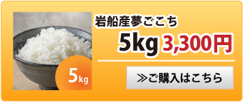 夢ごこち5kg